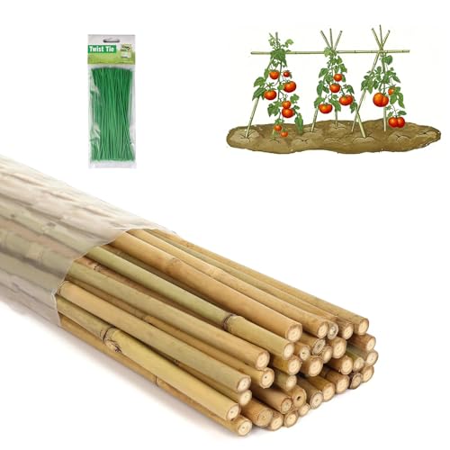 4 Ft Bamboo Stakes with 100 Twist Ties Natural Bamboo Garden Stakes for Tomatoes Cucumber Grapes Pole Beans Trees Potted Dahlia Flowers and Climbing Plants - Pack of 25