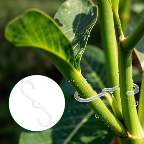 4pcs Plant Stem Support, 2 Sizes Plant Stem Holder Hook Monstera Stabilizer for Indoor Outdoor Climbing Houseplant Growth Accessories (Clear) - view 7