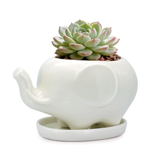 White Elephant Succulent Planter, 4 Inch Ceramic Plant Pot with Drainage Hole & Tray, Small Animal Flower Pot for Indoor Tabletop Decor, Plant Lover Gift for Home Office