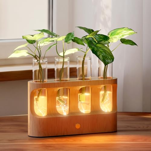 Rechargeable Plant Propagation Station, LED Hydroponic Terrarium - view 4