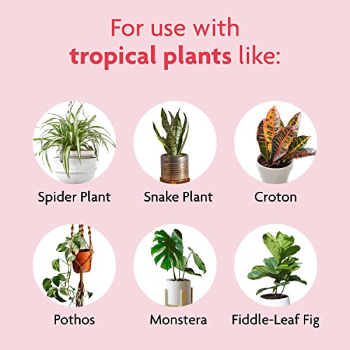 Tropical Potting Mix, 6 qt. - Growing Media for Tropical Plants Living in Indoor and Outdoor Containers - view 5