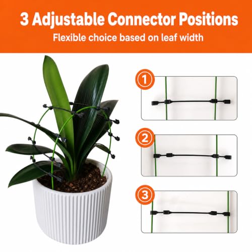 4PCS-Pack Adjustable Clivia Leaf Spacer and Plant Support, Leaf Spacing Tool with Flexible Coated Wire Frame, Reusable Leaf Guide for Broad-Leaf Indoor Potted Plants - view 6