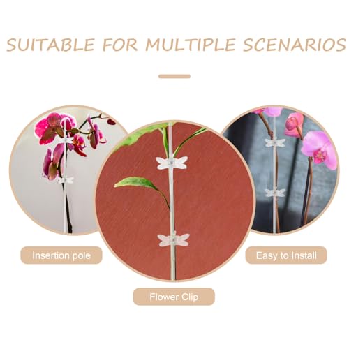 Single Stem Orchid Plant Support Stake, Plastic Upright Growth Guide - view 3