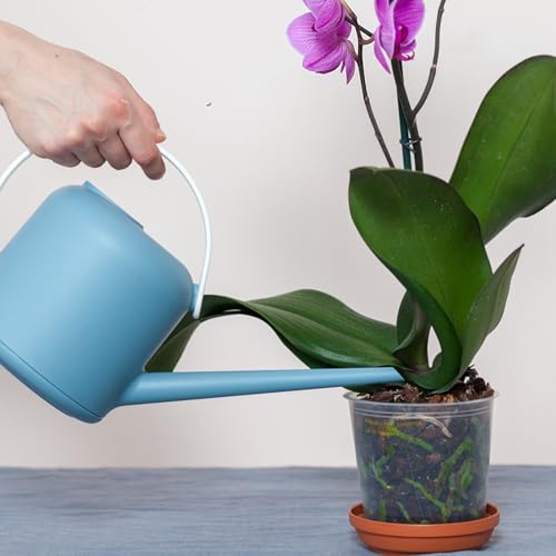 Orchid Potting Mix 1qt，Orchid Soil Composed of Orchid Bark and Perlite，Premium Orchid Medium for Potting, Repotting, Enhanced Drainage, Air Flow & Root Ventilation - view 7
