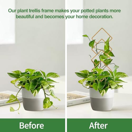 16inch Indoor Plant Trellis for Potted Plants - view 4