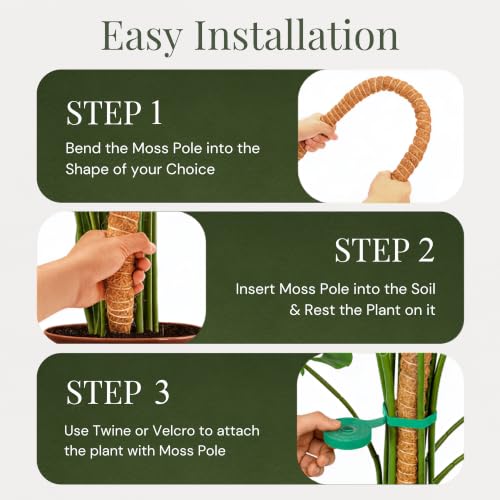 2 Pack 30" Moss Pole for Plants – Moss Pole Monstera Plant Support - view 5