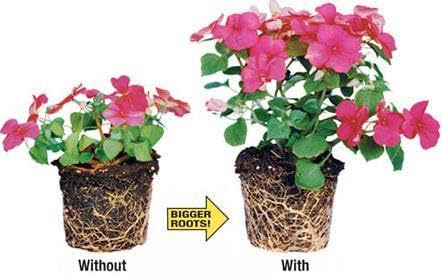 Sachets: Helps Your Plants Grow Bigger Faster and Stronger - view 2