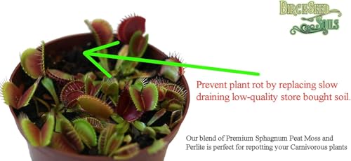 Carnivorous Plant Soil Mix – 1 Quart Bag – Premium Blend of Perlite & Peat Moss – Ideal for Venus Flytraps, Pitcher Plants, Sundews & Other Carnivorous Species – Ready to Use, Natural, Resealable Bag - view 4