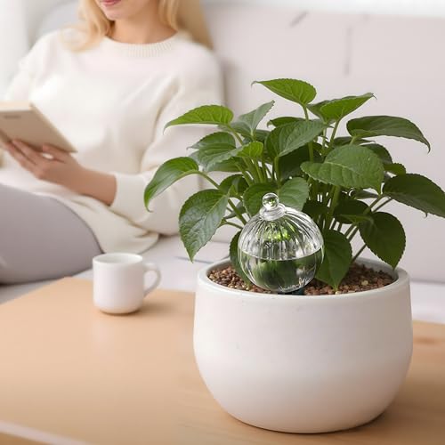 23 oz Top Fill Glass Watering Globe with Terracotta Spike - view 5