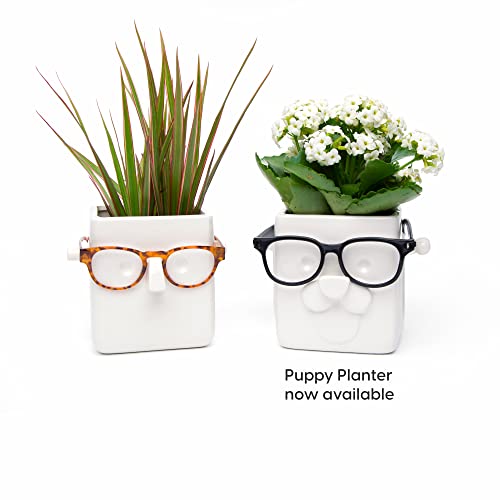 Face Plant, Novelty Planter Holds Small Plants, Glasses & You Can Draw on It. Elegant Ceramic Pot for Succulents, Cacti or Your Average Fern, Perfect Gifting - view 4