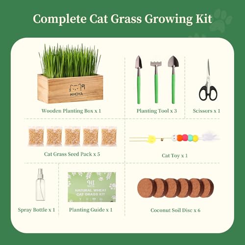 Cat Grass Kit for Indoor Cats - 5 Packets of Seeds, Cat Grass Planter Wooden Growing Kit, 5-Time Plant Starter Pack with 6 Soil Discs, Trimming Scissors, Spray Bottle, and Mini Tools - view 4
