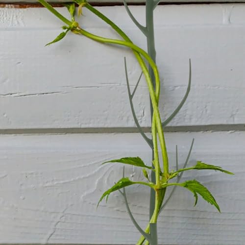 Decorative Plant Support Stakes, Tree Branch Shape, Climbing Frame - view 5