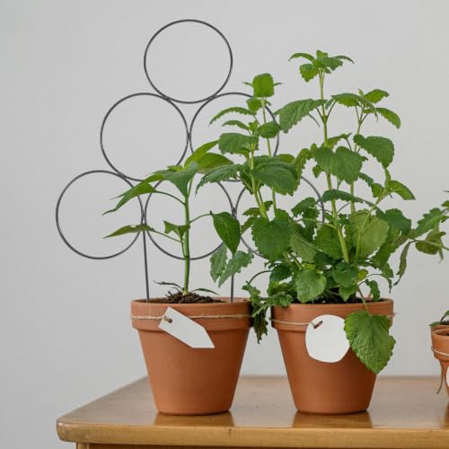 2pcs Trellis for Potted Plants, Climbing Plant Support Garden Frame - view 7