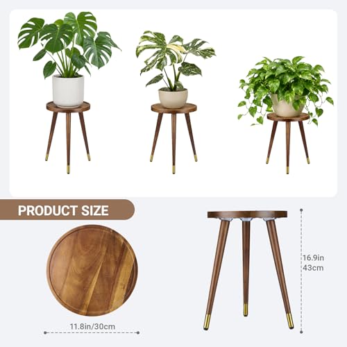 AcaciaWooden Plant Stand Indoor（12"x17"） - view 3