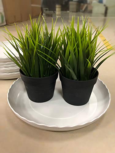 12 Inch Light Grey Plant Saucers 5 Pack,Saucers for Potted Plants,Flower Pot Drip Trays for Indoor & Outdoor Ceramic or Plastic Flower Pot Drip Trays for Large to Small Pots - view 4