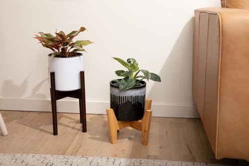 8 inch Self Watering Plant Pot for Indoor Plants, African Violets, Succulents, The Aqua Core Collection (Designer White) - view 7