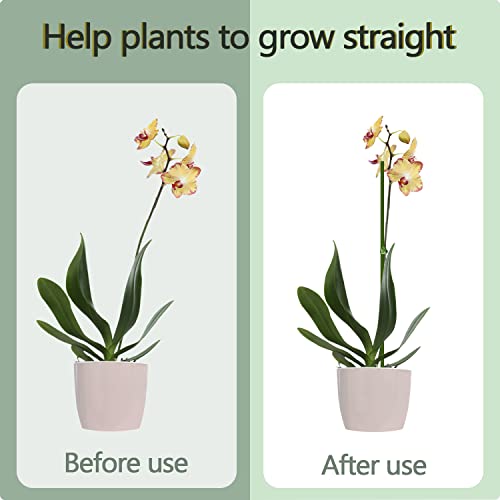 10Pcs Plant Stakes, 15IN Orchid Support Stakes for Indoor Plants - view 4