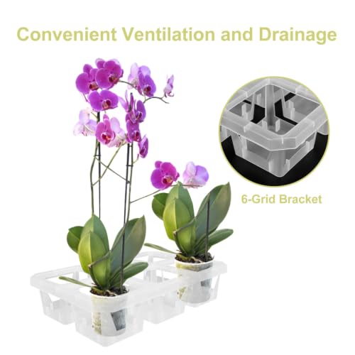2pcs Grid Plastic Orchid Pot Tray Rack with Holes for Plant Root Care - view 7