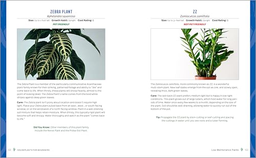 Houseplants for Beginners: A Practical Guide to Choosing, Growing, and Helping Your Plants Thrive - view 6