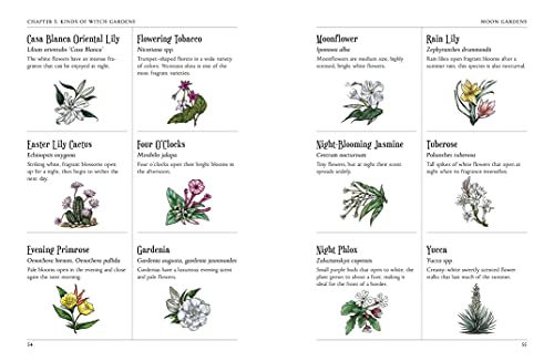 The Green Witch's Garden: Your Complete Guide to Creating and Cultivating a Magical Garden Space (Green Witch Witchcraft Series) - view 4