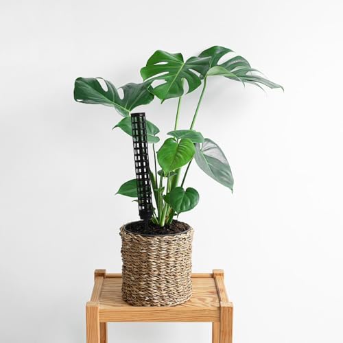 2pcs Moss Pole Monstera Trellis, Black Plastic Plant Support Stake - view 6