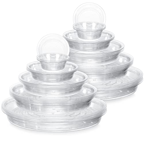 50 Pack 4/6/8/10/12 Inch Plant Saucer Clear Plastic Plant Trays