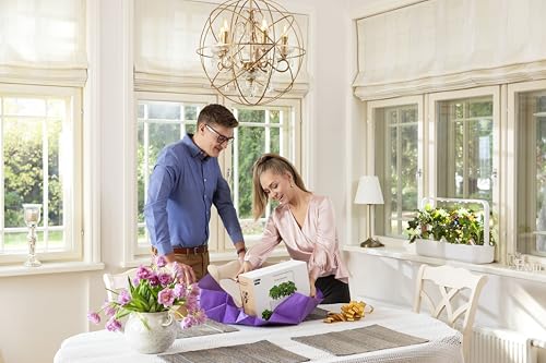 Click & Grow Indoor Herb Garden Kit with Grow Light | Smart Garden for Home Kitchen Windowsill | Easier Than Hydroponics Growing System | Vegetable Gardening Starter (3 Basil Pods Included), White - view 3
