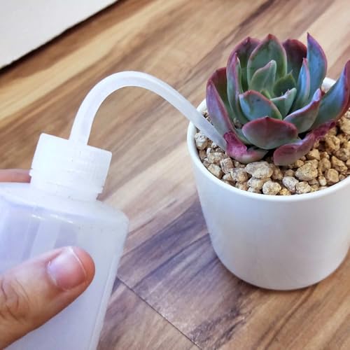 Succulent Tools Set,Plant repotting kit,repotting kit,Succulent Tools,Indoor Plant Tools,Succulent Tool kit,houseplant Tools,Plant Care kit,Indoor Plant Care kit, (Set of 7) - view 6