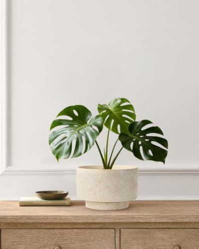 Succulent Pots, 8"+6" Plant Pots, Ceramic Planters for Indoor Plants - view 6