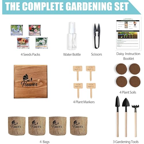 Indoor Daisy Garden Starter Kit, 4 Flower Seeds Growing into Shasta Daisy, Cornflower, Sunflower, Zinnia, Including Complete Gardening Tools for Women Men & Beginners - view 2