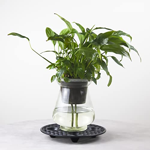 8 PCS 11.8 Inch Plant Level Pot Elevator, Heavy Duty Plant Stands - view 3