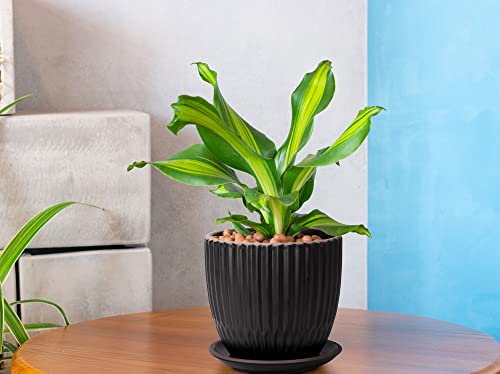 2-Pack Stoneware Planter Pots, 4.5/5.8 in, Black, 99-D-2 - view 2