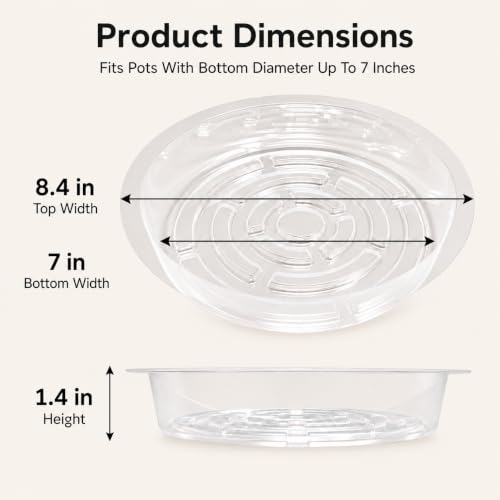 Heavy Duty Clear Plastic Plant Saucers, Flower Pot Tray - Excellent for Indoor & Outdoor Plants (8-Inch, 10-Pack) - view 2