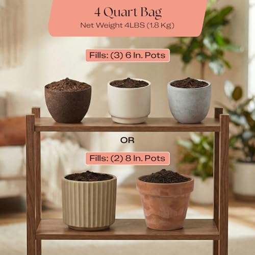 Cactus & Succulent Potting Mix, 4 Quarts - view 6