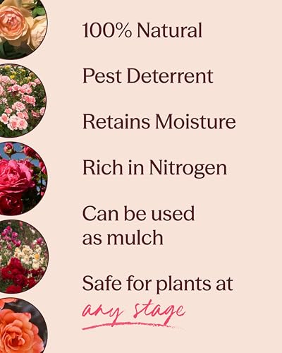 Mint Compost,100% Natural,Top Soil Amendment for Rose Planting, Rich in Micronutrients and Nitrogen for Garden Vegetables and Flowers, 26 Quart Box - view 3