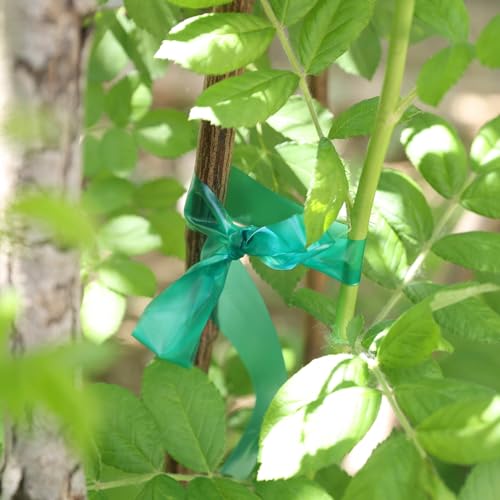 Stretch Tie Tape Roll, 1" 150ft Garden Tie Tape Reusable Garden Plant Ties Thick Sturdy Plant Ribbon Garden Green Vinyl Stake Gardening Tools for Indoor Outdoor Patio Plant Use - view 6