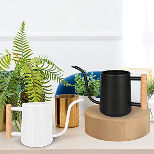 Watering Can for Indoor Plants, 35 oz/1000 ml Metal Stainless Steel Pot with Long Spout for House Plants Bonsai Outdoor Garden Flower Decorative (Black) - view 2