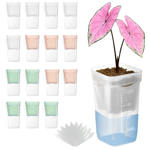 15 Pack 2 inch clear self watering pots for indoor plants,multi-color