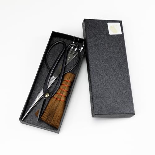 Bonsai Tool Kit, 3 Piece Starter Set, Ashinaga Scissors, Japan