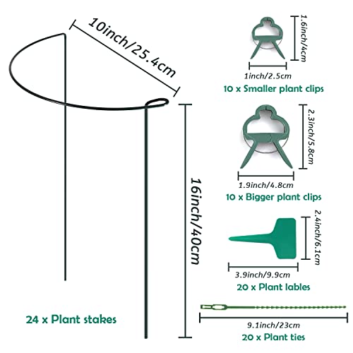 24 Pack Plant Support Stake, Half Round Metal Garden Plant Stake, Green Plant Support Ring, Border Support with Plant Lables & Plant Clips for Outdoor Indoor Plants, Vegetable, Flowers - view 2
