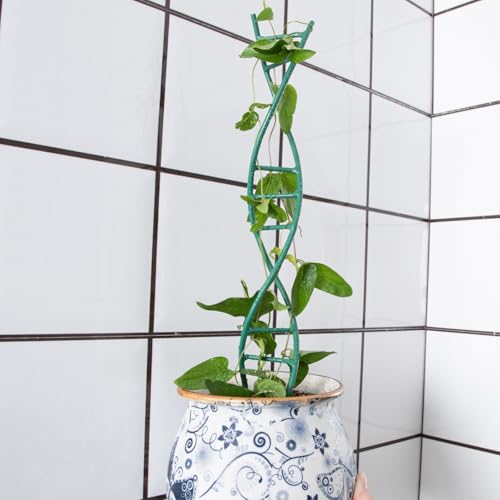 3PCS Indoor Plant Trellis for Potted Plants - Metal Houseplant Trellis - view 7