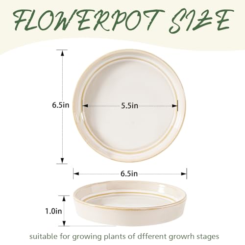 Plant Saucers, 2-Pack 6.5 Inch Ceramic Flower Pot Saucers, Thickened Plant Pot Saucers, Plant Trays to Catch Water for Indoors Outdoors Medium Potted Plants (White) - view 4