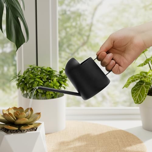 Small Watering Can Indoor Outdoor Plant Black Metal Stainless Steel Long Spoutt Flowers Watering Cans for House Garden Plants 10OZ Watering Bottle Cute Decorative for Bonsai