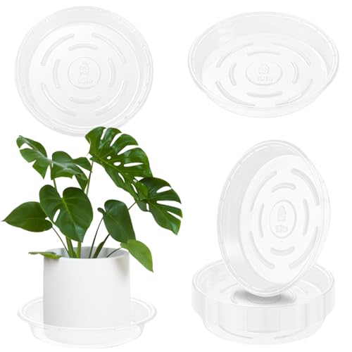 Plant Saucer 40 Pack Plant Trays for Pots 8 Inch Plastic Plant Saucers for Outdoors and Indoors Clear Drip Trays for Potted Plants Flower Pot Plates to Catch Water Plant Drainage Dishes No Holes - view 5