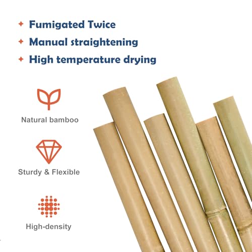 8FT Bamboo Stakes Plant Stakes 1in Thick Dia. Garden Poles 10 Pack - view 4