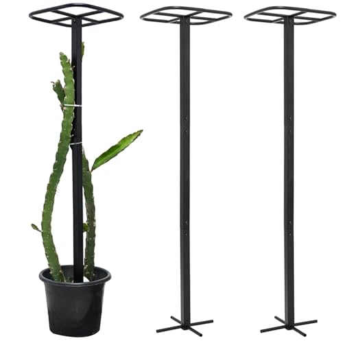 2PCS 50" Metal Dragon Fruit Trellis,Durable Vertical Garden Support