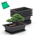 Bonsai Pots with Drainage Tray 6 Pack 9 Inch Bonsai Training Pot