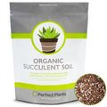 Succulent & Cactus Soil, 4 qt, Organic Potting Mix