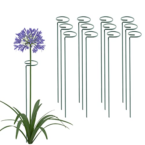 12 Pack 16 Inch Plant Support Stakes, Metal Single stemmed Flower Support Hoops，Garden Plant Stakes Plant Prop for Amaryllis Orchid Lily Rose Peony Tomatoes Gladiolus