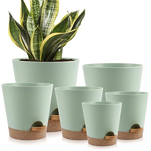 8,7, 6.5, 6, 5.5, 5 Inches Self Watering Planters for Indoor Plants